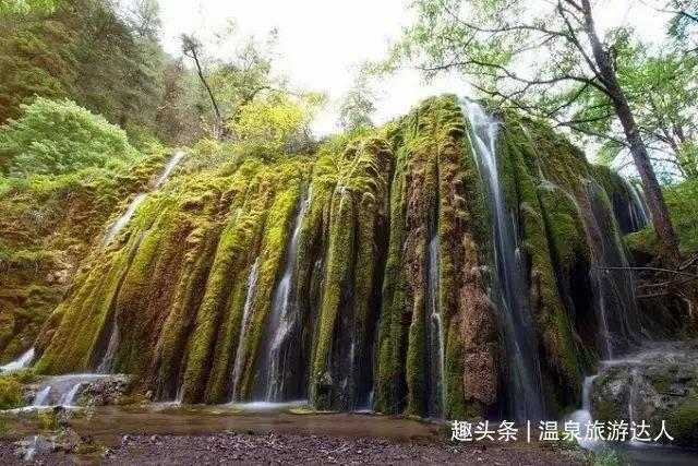 重磅!我国这一新发现,刷新“自然界之最”!